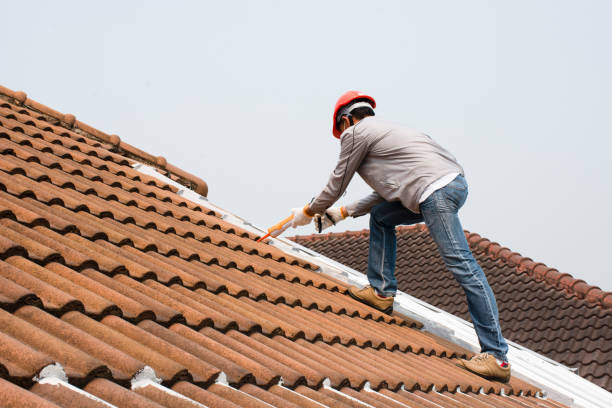 Best Roof Inspection  in Farrell, PA